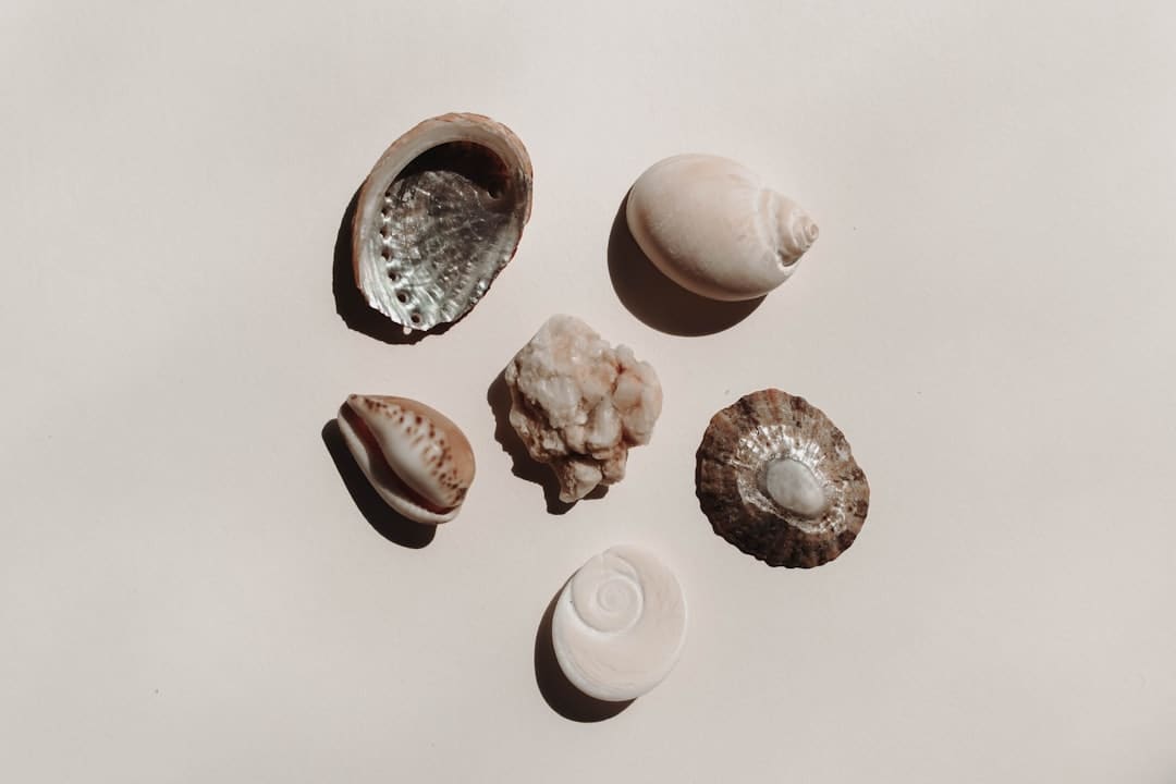 科幻阅读产业保持增长态势，我国科幻创作正迎来黄金期